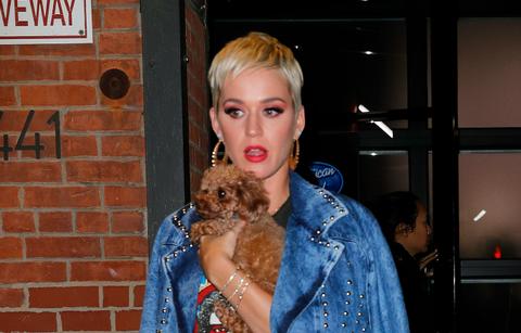 //Cringeworthy Moments