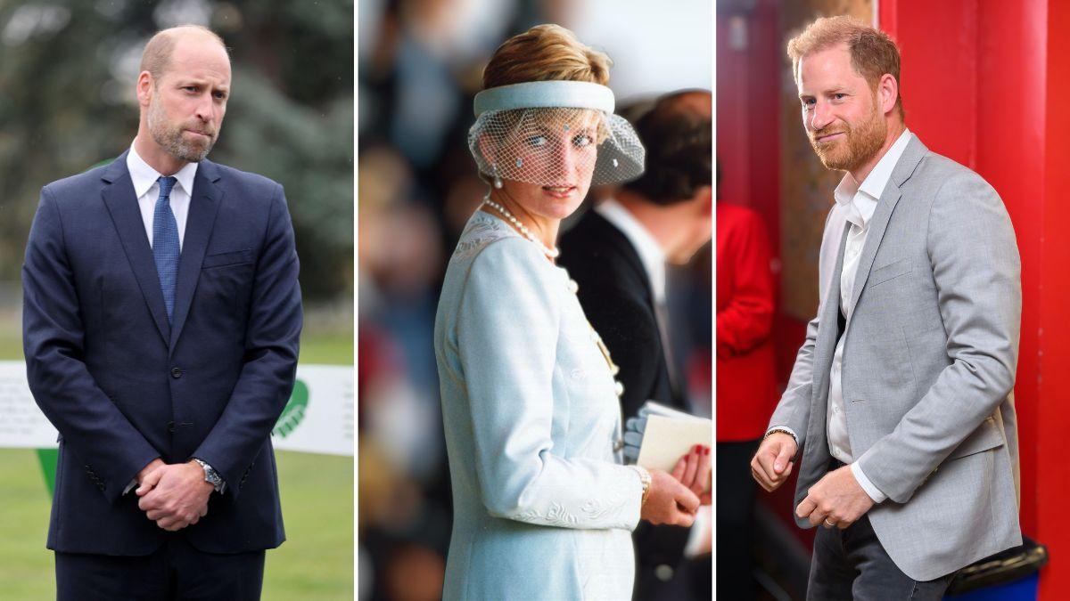 Photo of Princes William, Harry and Princess Diana