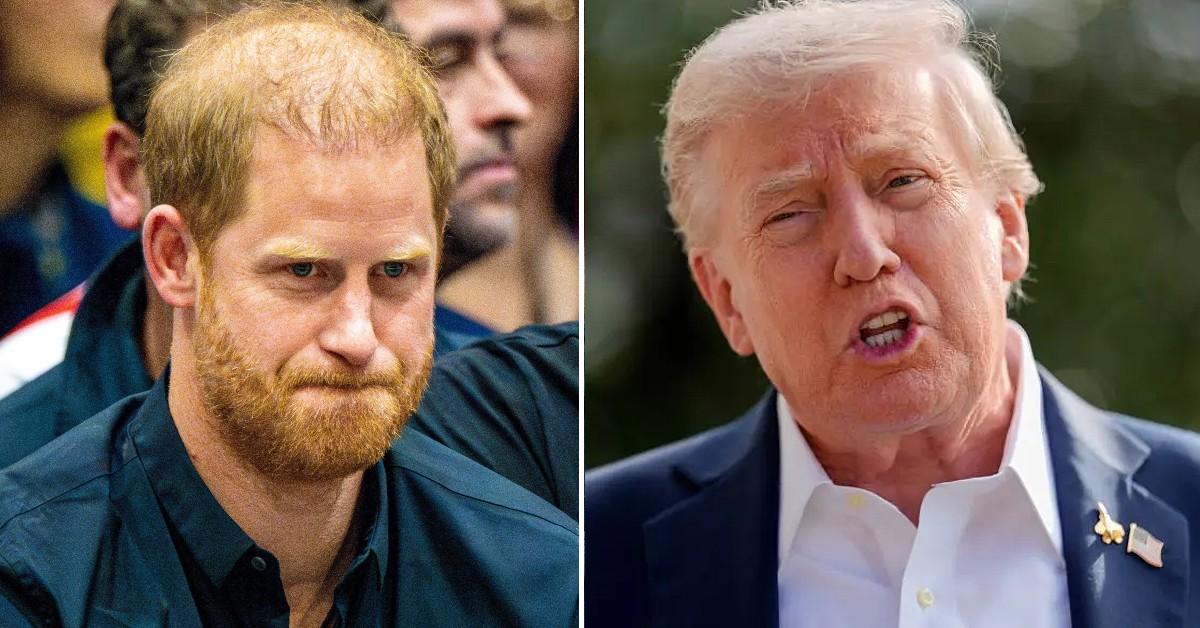 EXCLUSIVE: Prince Harry Under Fire For Going to War With Donald Trump — For One Potentially Devastating Reason