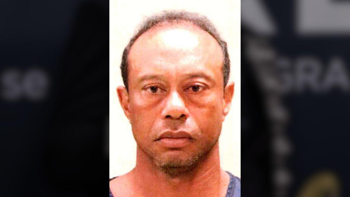 picture of Tiger Woods