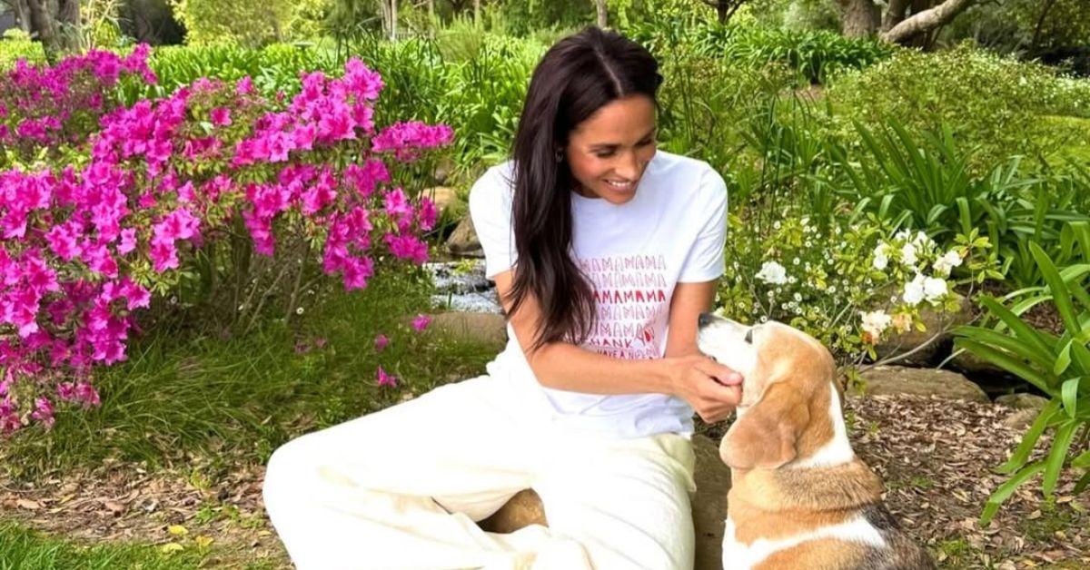 Photo of Meghan Markle
