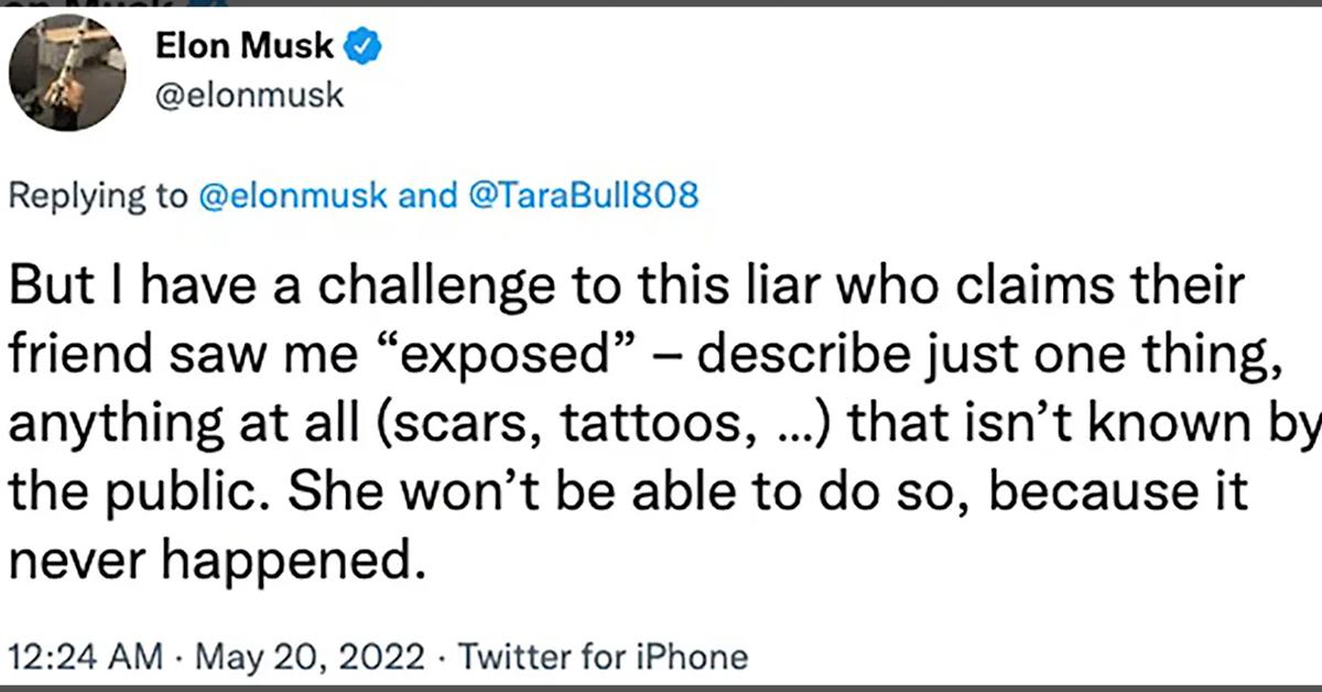 elon musk denies assault describe body part hit piece