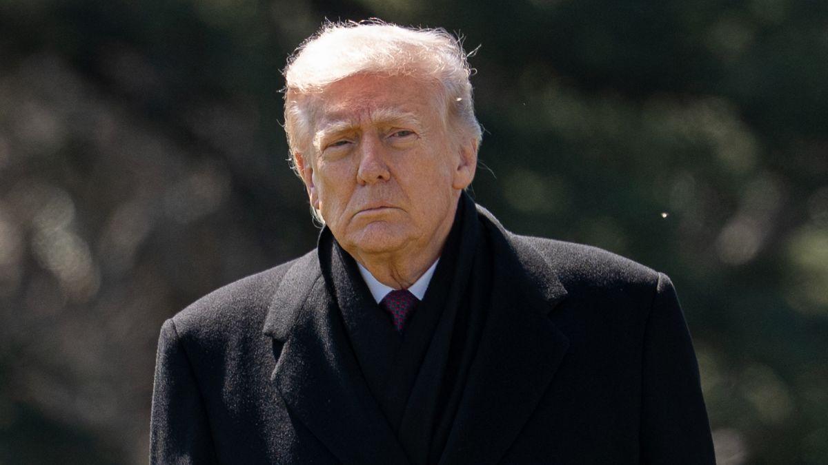 Photo of Donald Trump