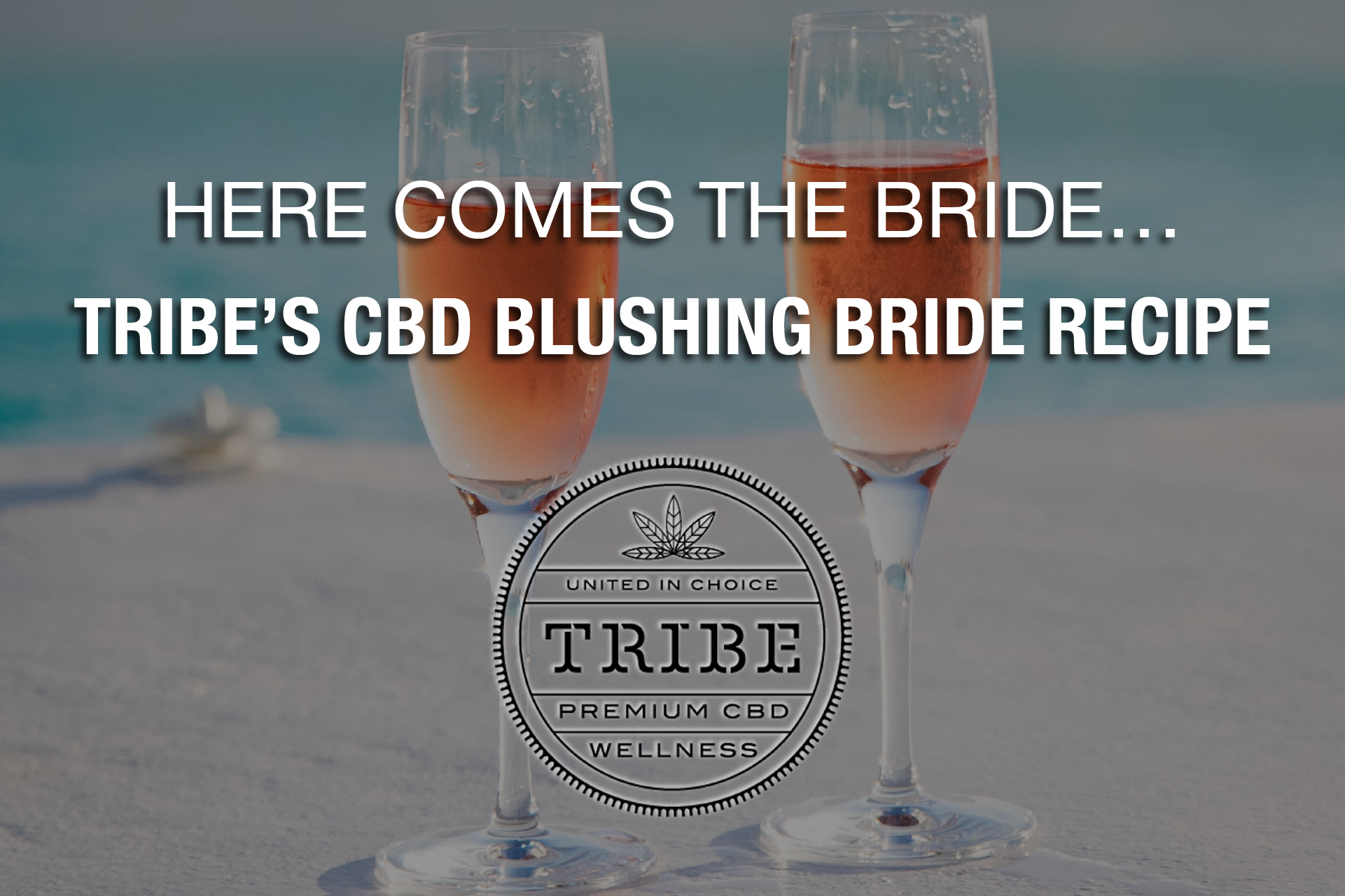 Here Comes the Bride…Tribe’s CBD Blushing Bride, That Is!