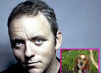 //dennis lehane beagle missing