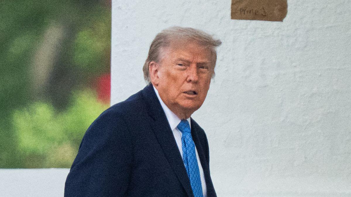 picture of Donald Trump