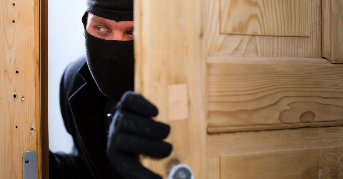 Photo of thief
