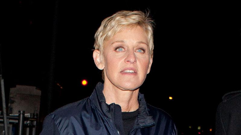 //ellen degeneres criticized launching leather suede shoe collection pp