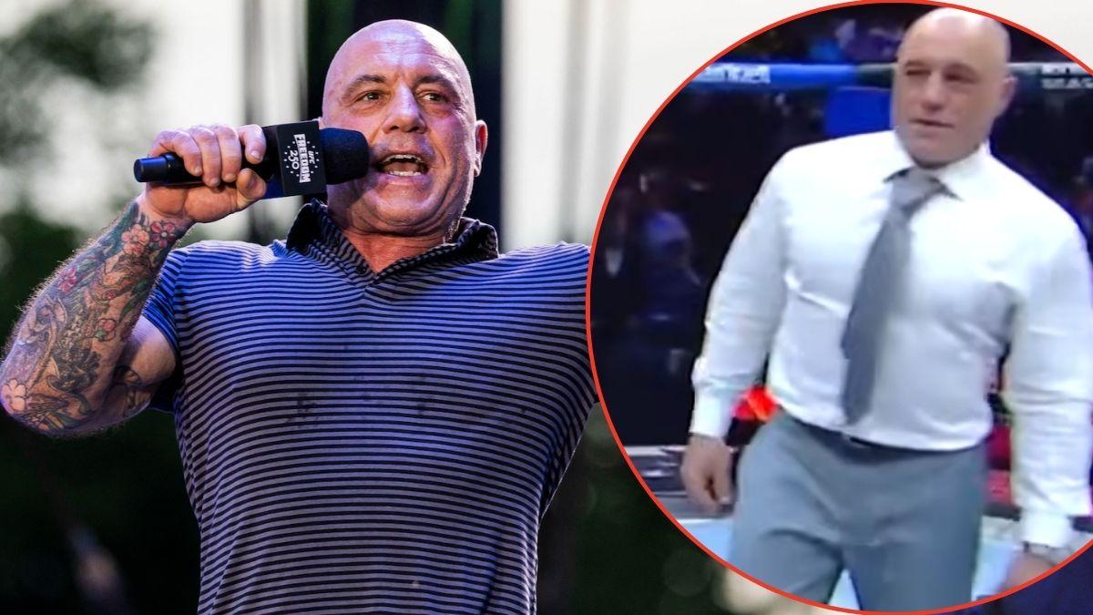 Photo of Joe Rogan
