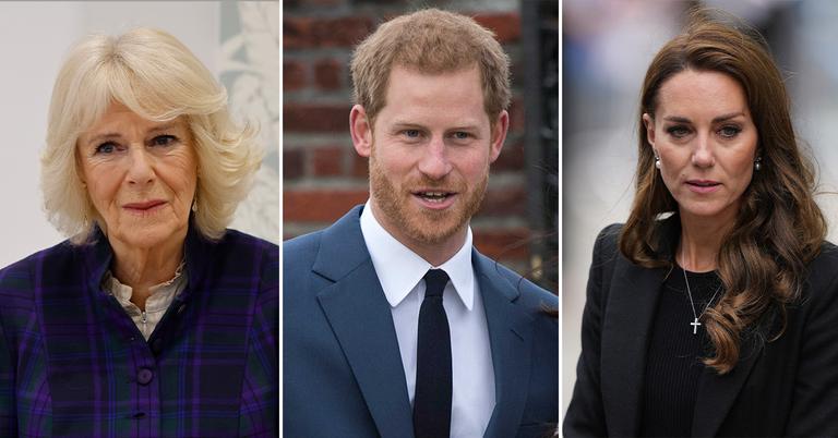 Queen Camilla & Kate Middleton ‘Outraged’ By Prince Harry’s Memoir ...