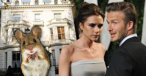 david beckham victoria london mansion renovations neighbors mice