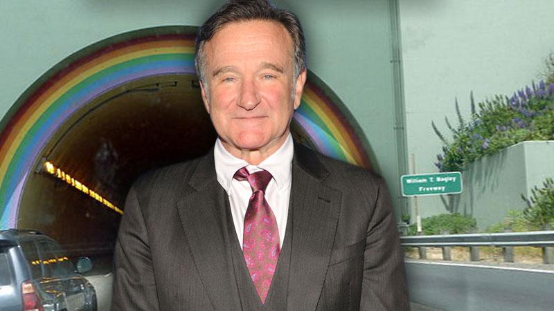 //robin williams waldo tunnel