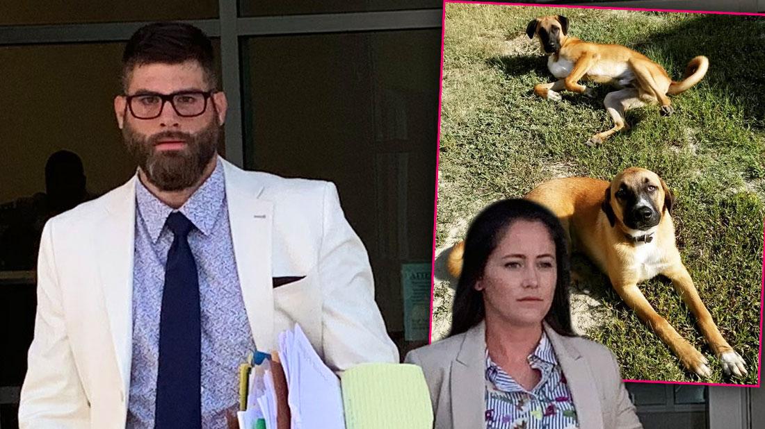 Jenelle’s Husband David Calls 911 To Report Stolen Dog