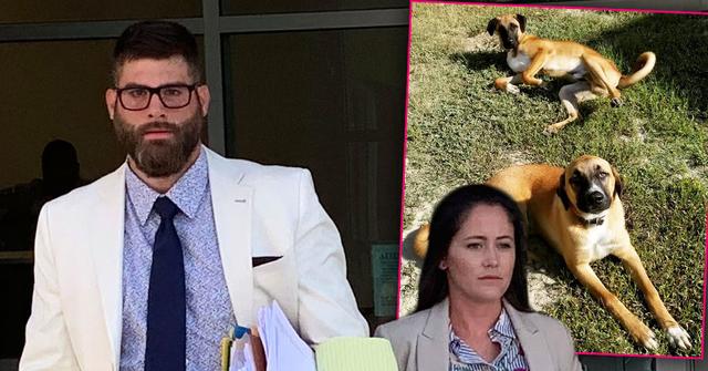 Jenelle’s Husband David Calls 911 To Report Stolen Dog