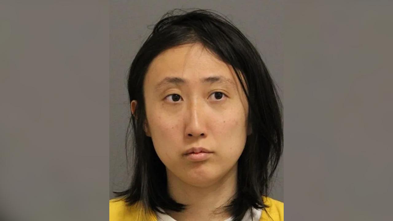 Shenting Guo mugshot