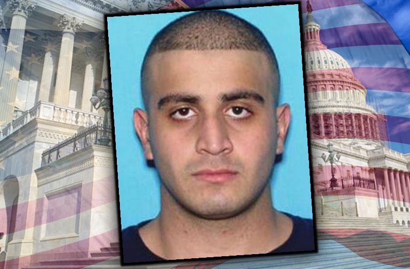 Government Fatal Blunder: Orlando Massacrist Worked As Security ...