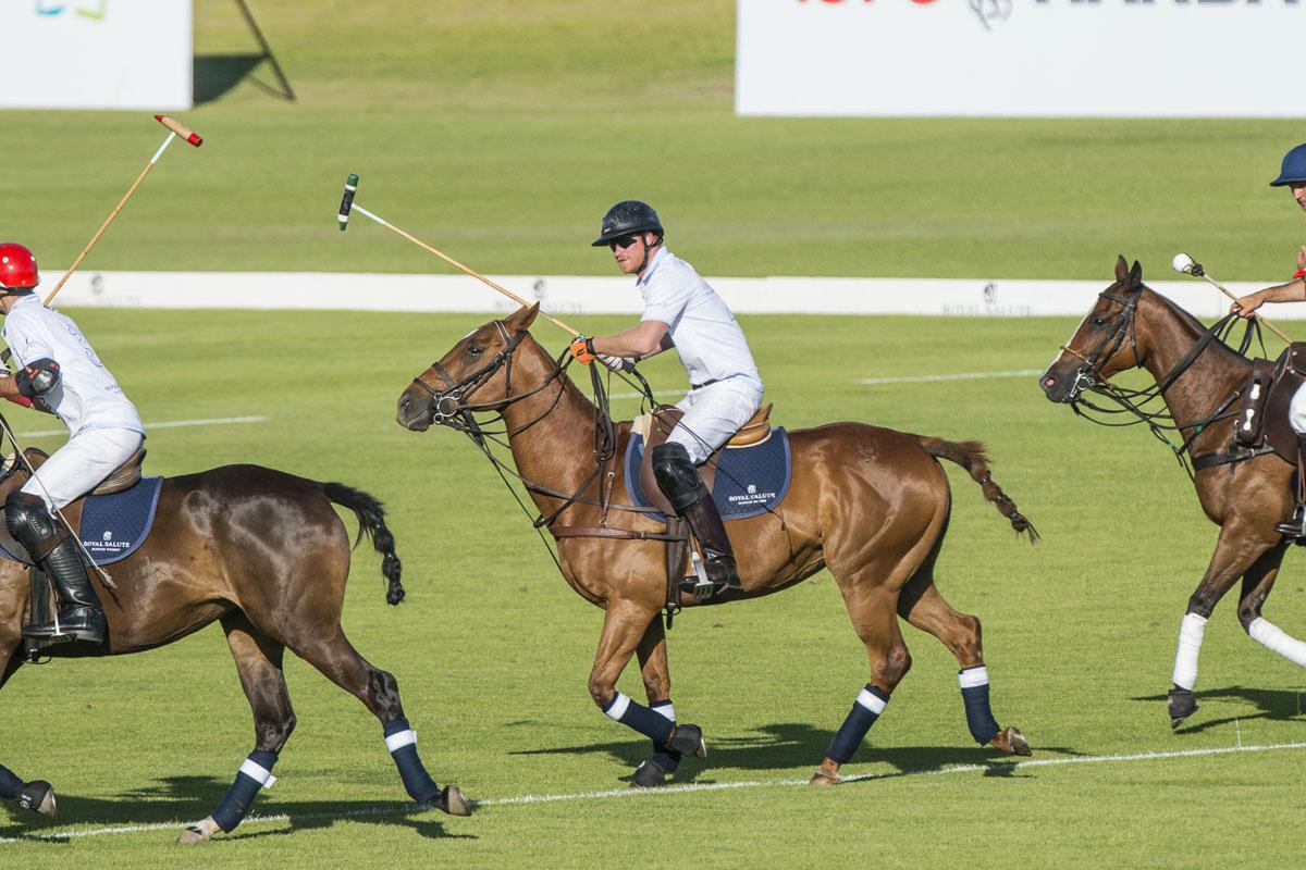 Prince Harry Falls Head-First Charity Polo Match