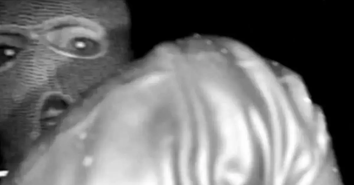 Surveillance footage from Nancy Guthrie's home revealed a masked man.