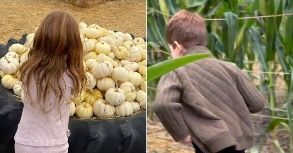 picture of Prince Harry, Archie and Lilibet