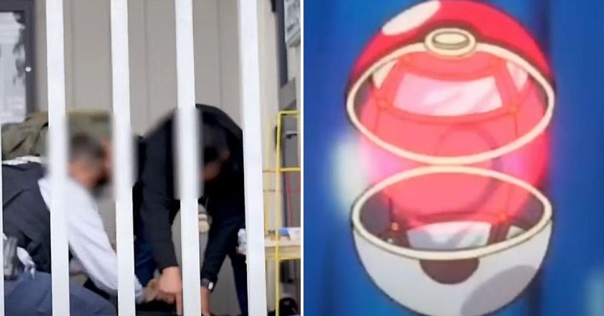 Grab of DHS video