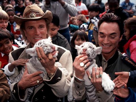 sig roy tigers gallery pic