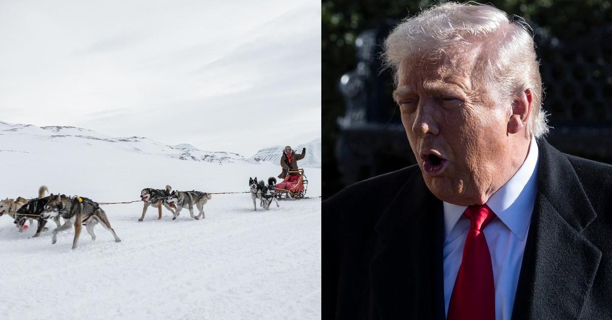 EXCLUSIVE: Meet the Elite, Brutal Greenland 'Dogs of War' Soldiers Gearing Up to Face Down U.S. Forces if Donald Trump Unleashes Invasion on Oil-Rich Island