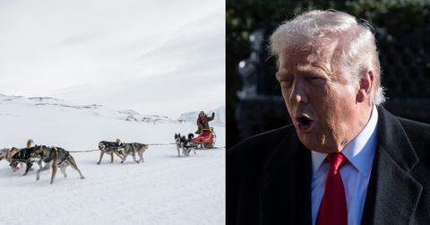 Split photo of Sirius Dog Sled Patrol and Donald Trump