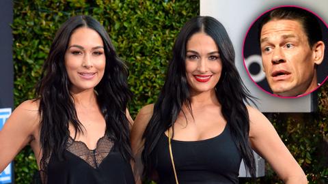 twins brie nikki bella pregnant at same time featured