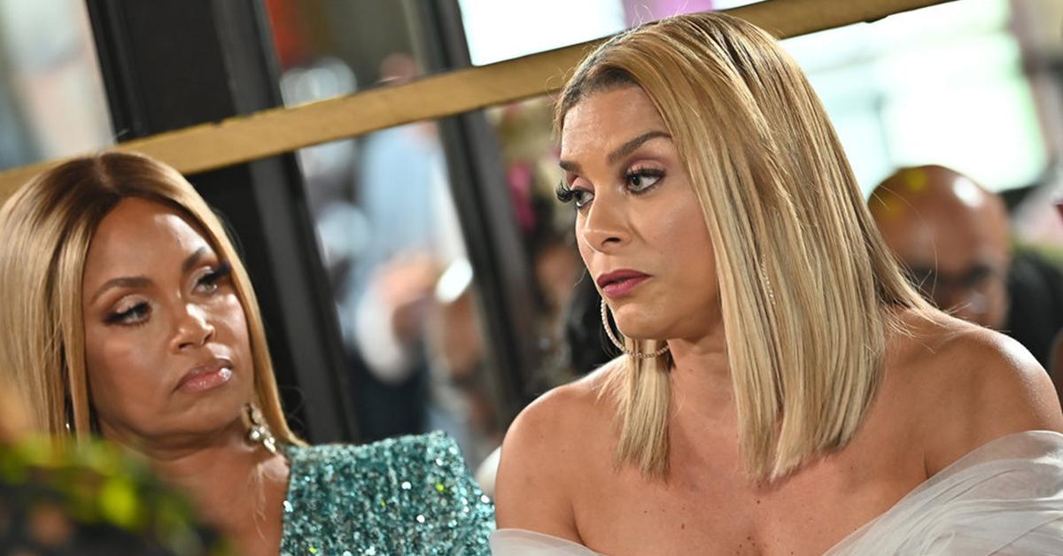 Robyn Dixon TRASHED After Defending Juan's Cheating Scandal On 'WWHL'