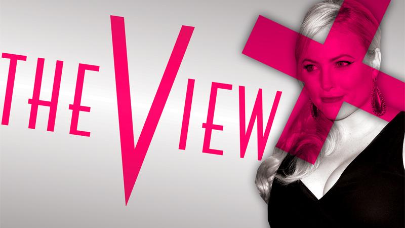 //meghan mccain turns down the view gig pp