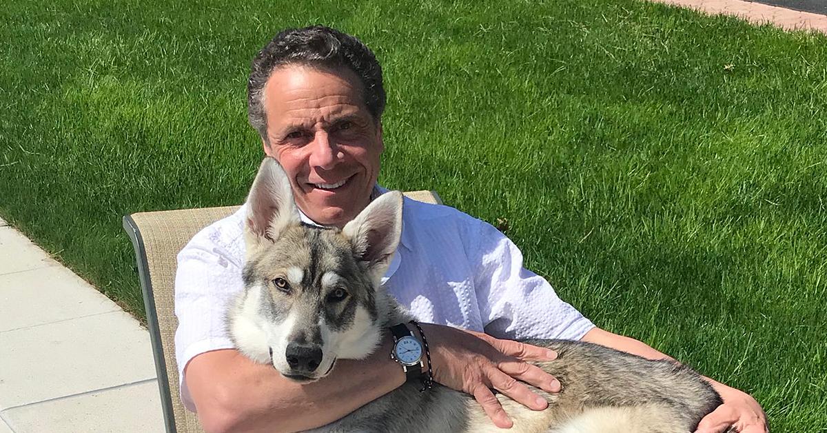 andrew cuomo leaves dog moves out orders staff takes care sexual harassment