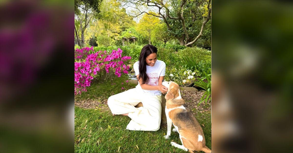 Photo of Meghan Markle