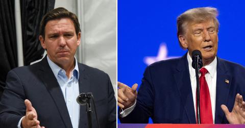 ron desantis unleashes on trump campaign wrong direction pp