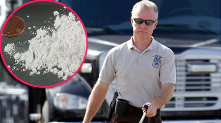 //dea science fair ap