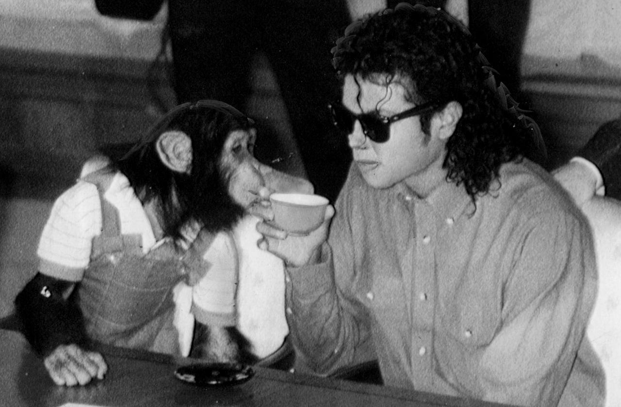 Michael Jackson Pet Chimp Bubbles Movie