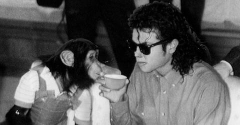 Michael Jackson Pet Chimp Bubbles Movie