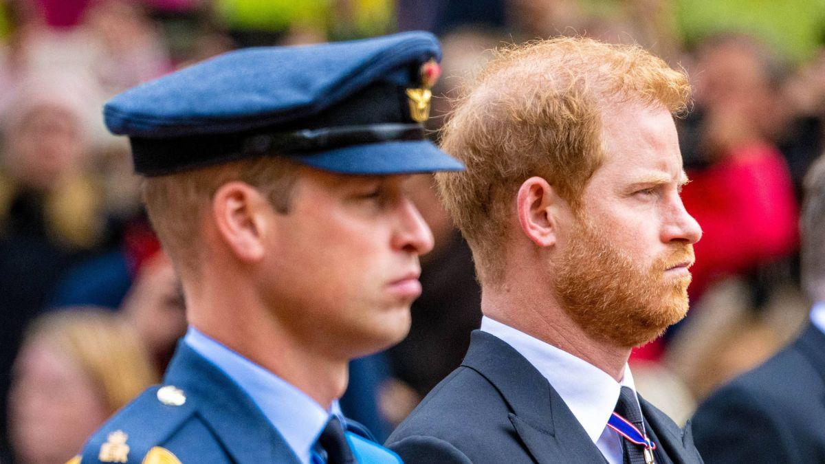 Photo of Prince William and Prince Harry