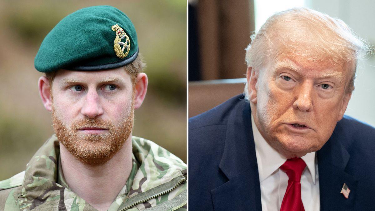 Prince Harry Goes Nuclear on Trump After Prez Questions NATO Allies' Role After 9/11 — 'Those Sacrifices Deserve to Be Spoken About Truthfully'