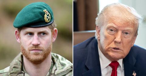 prince harry, donald trump