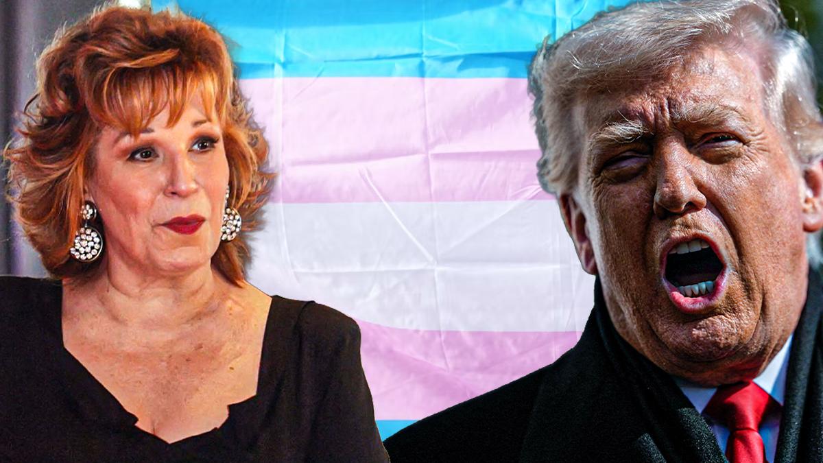 Joy Behar said the court needed to push back against the ban.