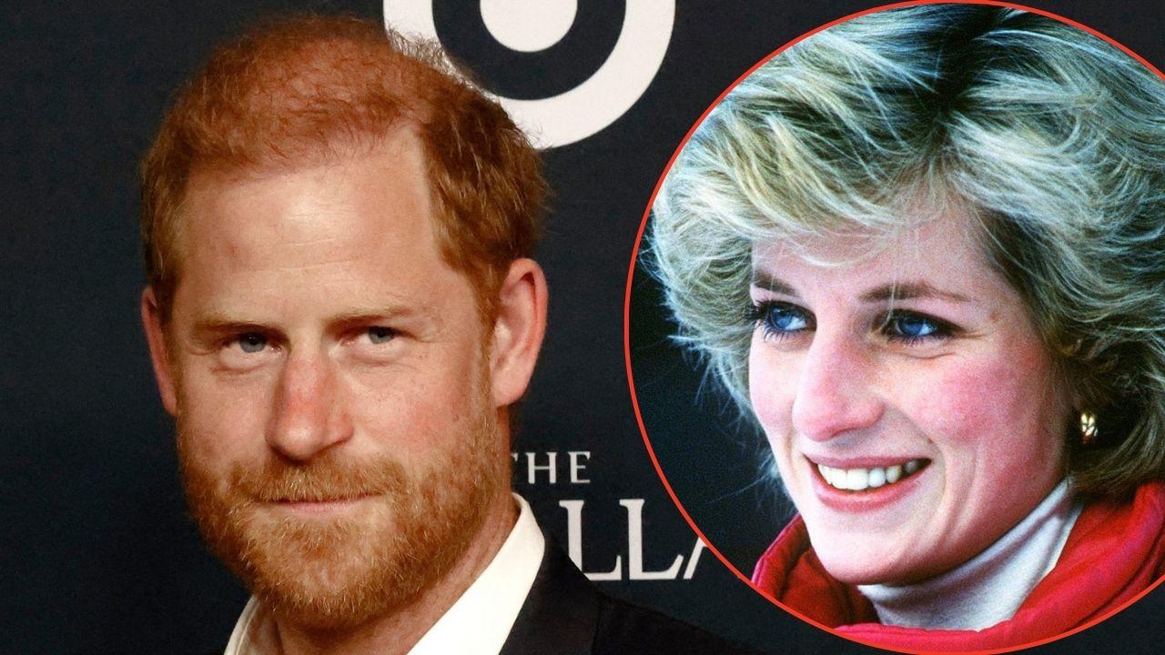 picture of Prince Harry and Princess Diana