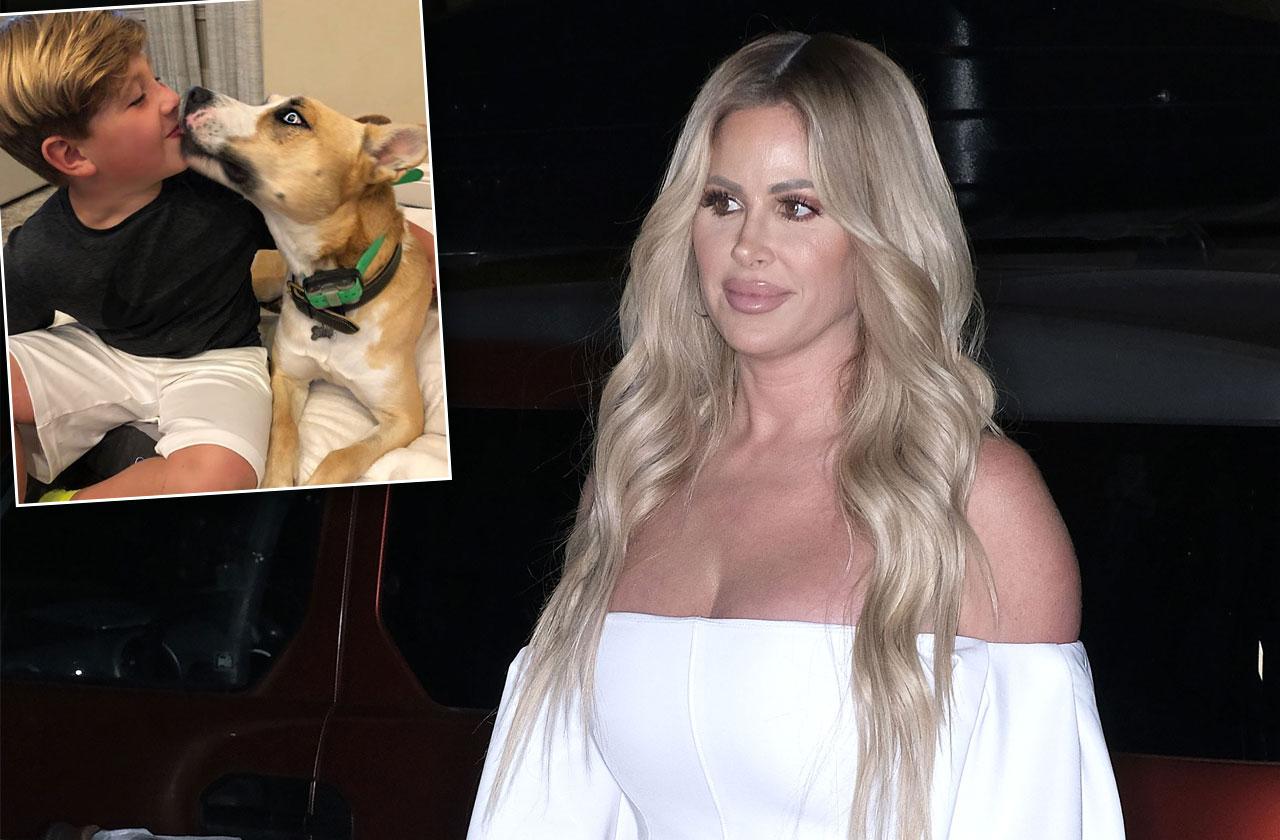 Kim Zolciak Fans’ Irate After ‘RHOA’ Star Lets Attack Dog Lick Son’s Face