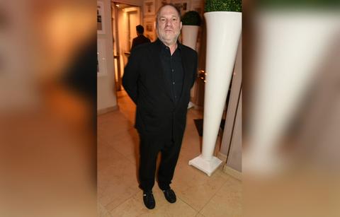 //harvey weinstein sexual harassment angelina jolie gwyneth paltrow mira sorvino allegations