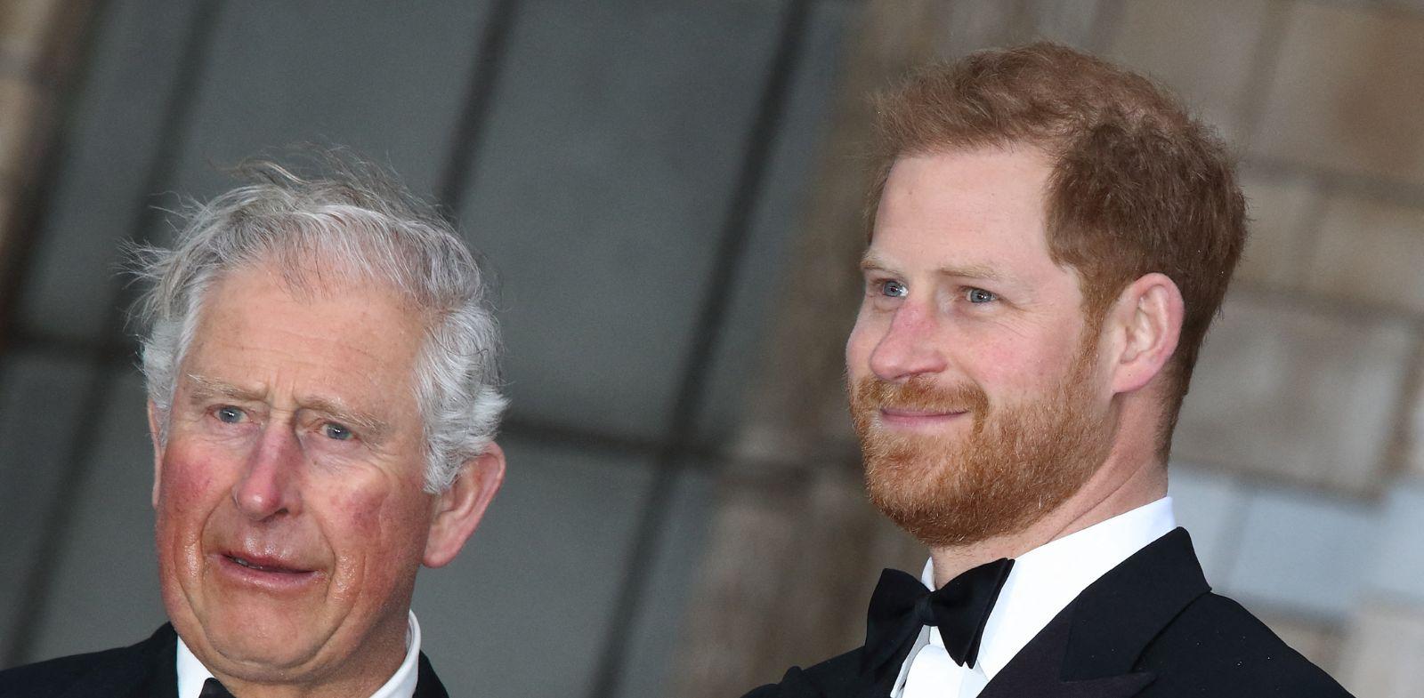 prince harry upset king charles attacking queen camilla spare