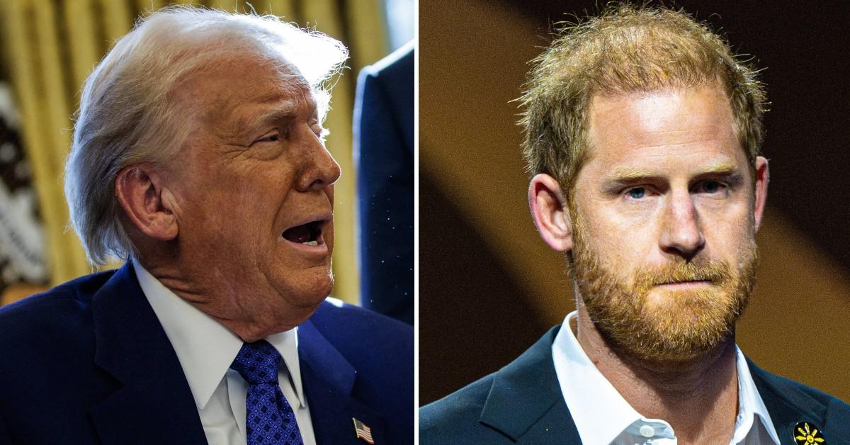 donald trump legal action prince harry lied visa application drug taking pp