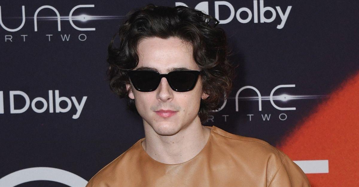 timothee chalamet