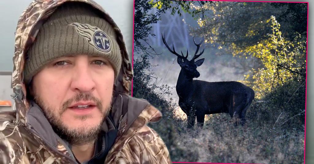 Luke Bryan's Red Stag Shot, Killed On Tennessee Farm