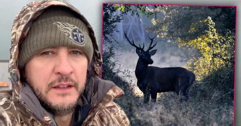 Luke Bryan On His Farm Inset Red Deer Stag