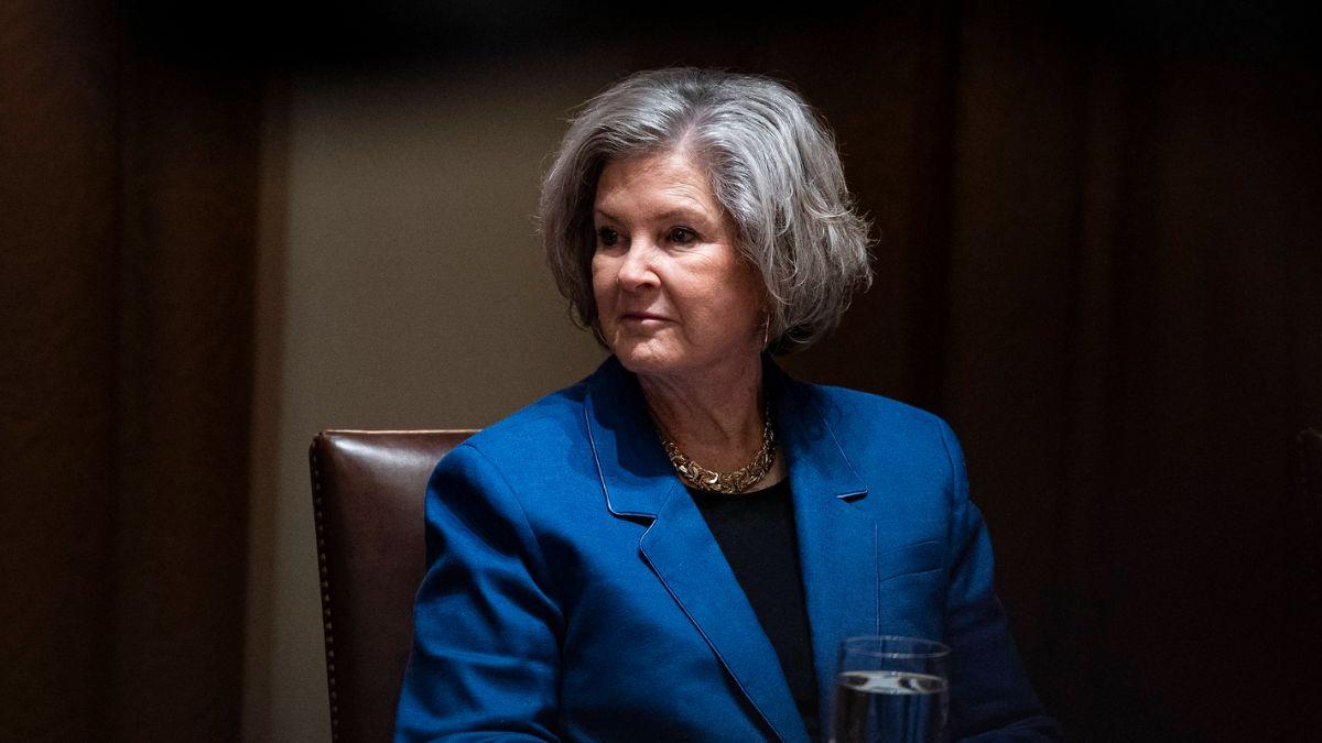 Photo of Susie Wiles