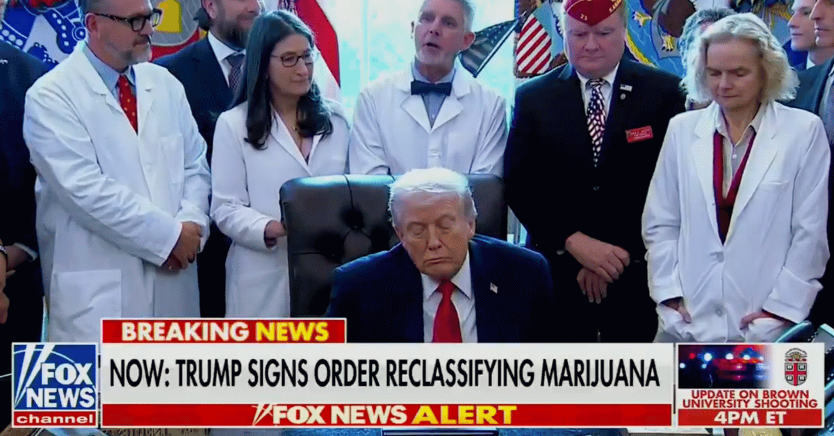 Photo of Donald Trump 